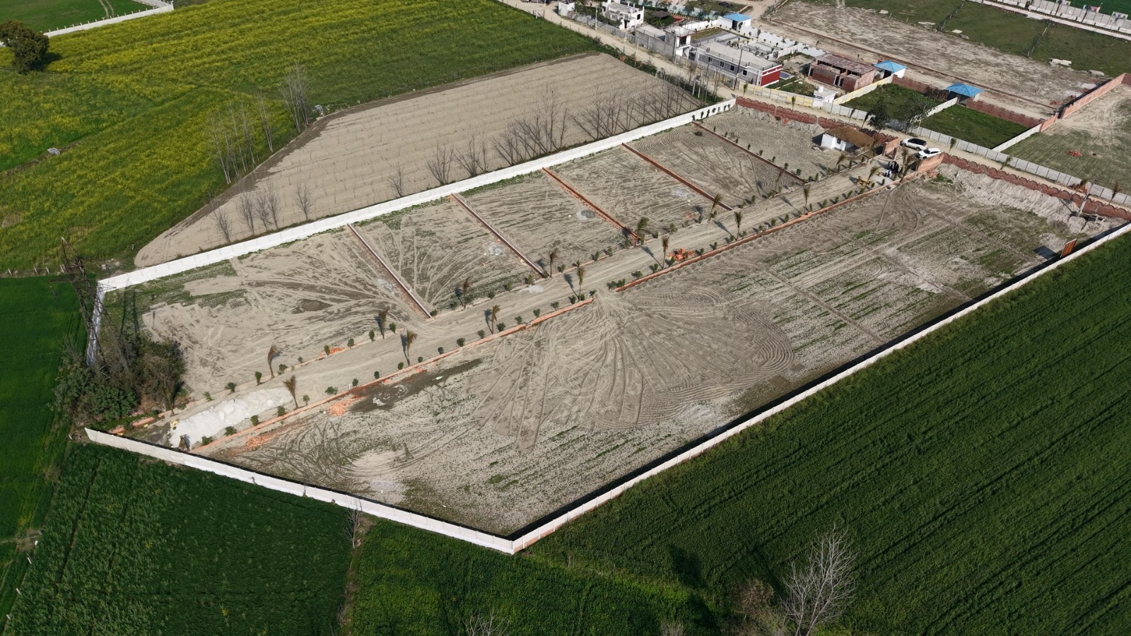 WhatsApp Image 2026-03-17 at 5.46.20 PM - Copy