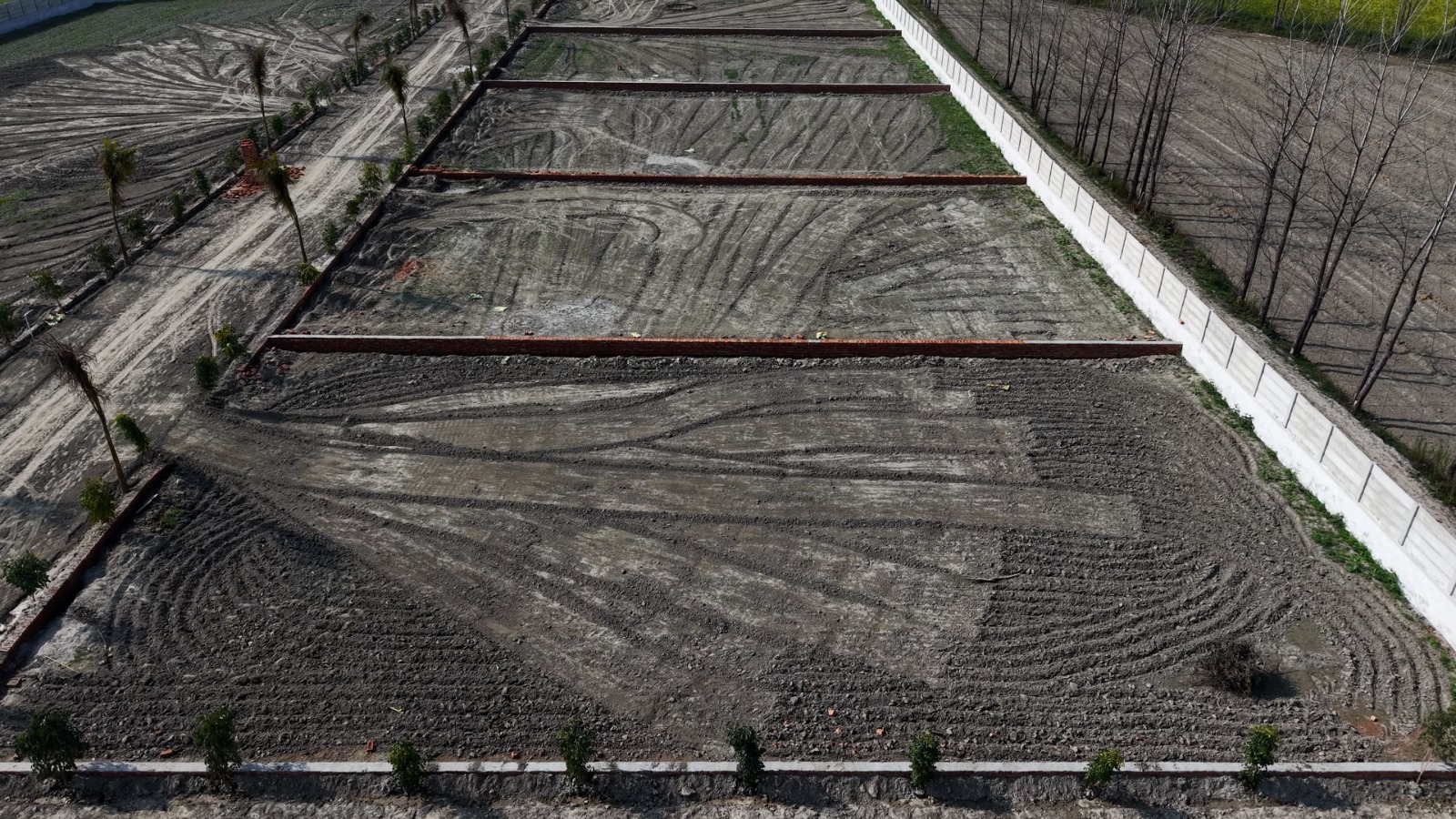 WhatsApp Image 2026-03-17 at 5.46.23 PM - Copy