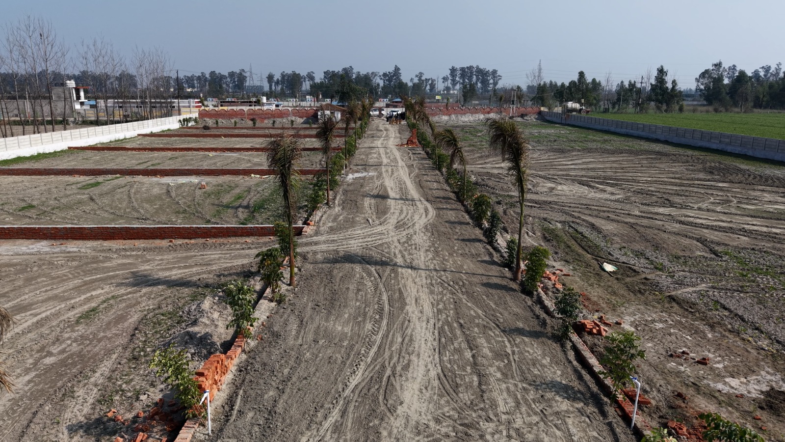 WhatsApp Image 2026-03-17 at 5.46.25 PM - Copy